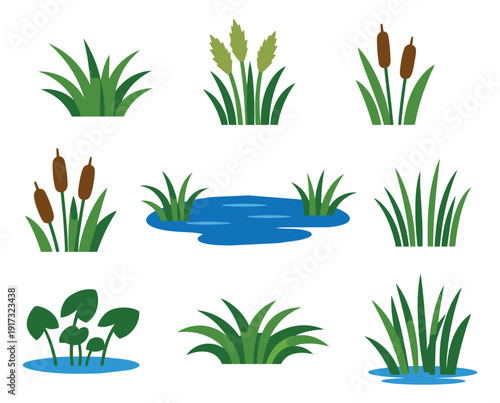 Graphic pond and marsh plants set featuring cattails, reeds, water plants, and green grass elements for outdoor landscape design