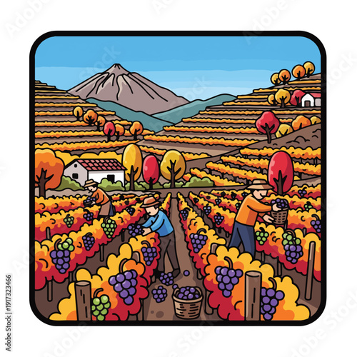 A colorful illustration of a vineyard scene