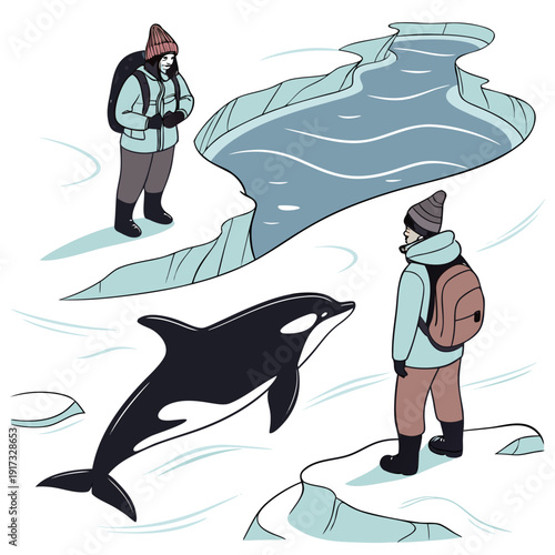 Orca swimming near people on ice floes in arctic winter clothing