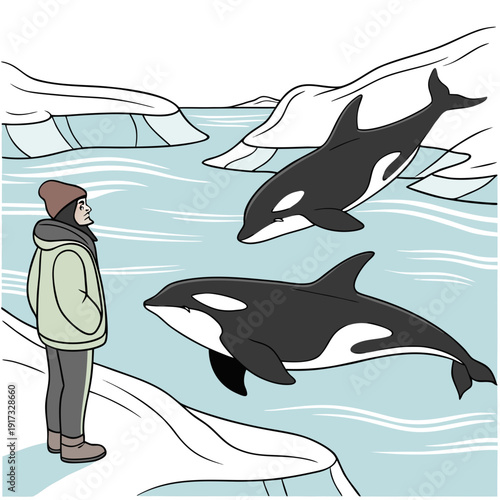 Orca whales and person in arctic water with icebergs