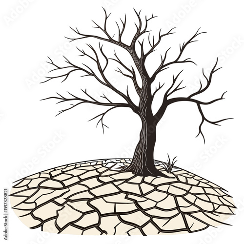 Barren tree on dry cracked earth bare tree dry earth