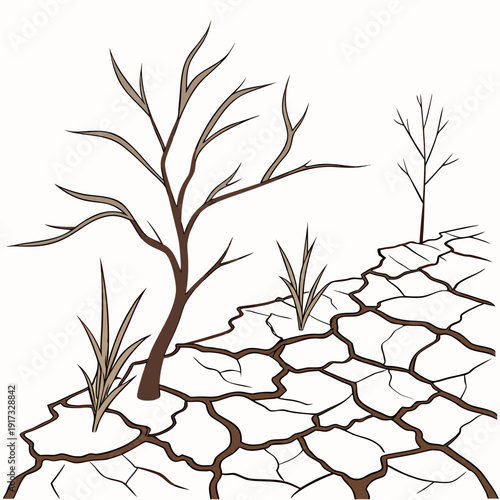 Dry cracked earth with bare trees and grass