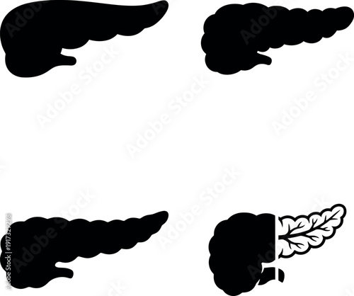 Human pancreas silhouette vector icon set. Includes four distinct black and white illustrations of the organ, with one showing internal leaf-like structures. Created in a solid and outlined