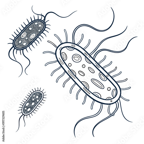 Of bacteria with flagella and pili microorganism prokaryote