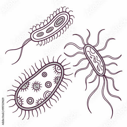 Of bacteria with flagella and pili microorganisms scientific