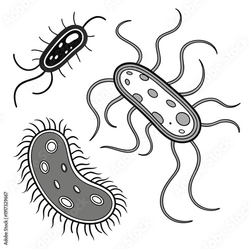 Of bacteria with flagella and pili microorganisms microbes