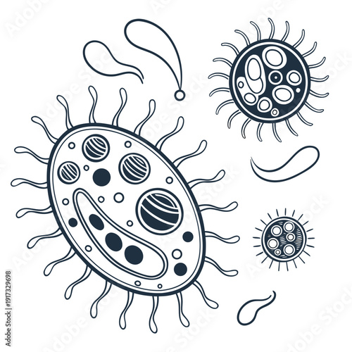 Of biologically inspired microorganisms bacteria cells