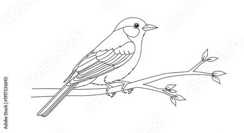 Simple Line Drawing of Bird 1.