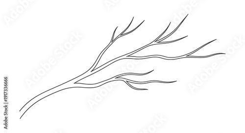 Simple Line Drawing of Branch.