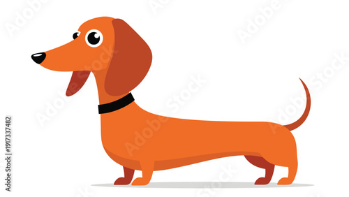 Cute cartoon illustration of a long dachshund dog with brown fur and a black collar standing on a white background.