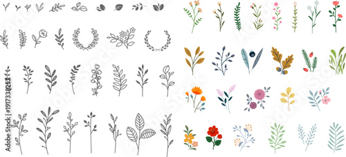 Clean Line Botanical Vector Illustration Set Monochrome Sketches and Colored Floral Elements with Wreaths, Stems, Roses and Wildflowers for Design Projects