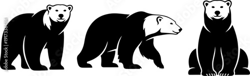 Three bears in different poses illustrated in a vector graphic file .eps style