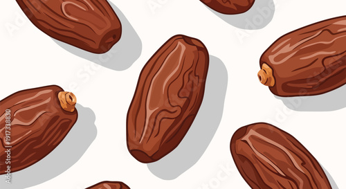 Top view vector illustration of scattered dried dates on white background