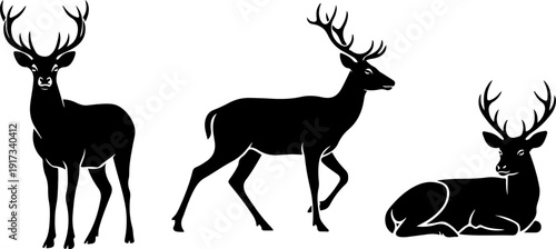 Three deer silhouettes in various poses, standing, walking, and lying down, showcasing antlers, vector illustration