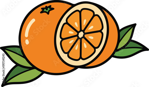 Whole and half orange fruit vector illustration with green leaves. Hand-drawn cartoon style citrus fruit isolated on a white background.
