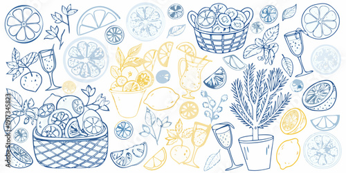 A colorful arrangement of citrus fruits cocktails and botanical illustrations