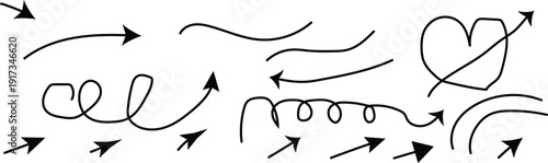 Vector illustration of lion horse and wolf contours in black and white