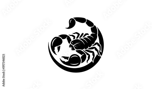 Stylized Scorpion Silhouette Vector Logo Design Isolated on White Background