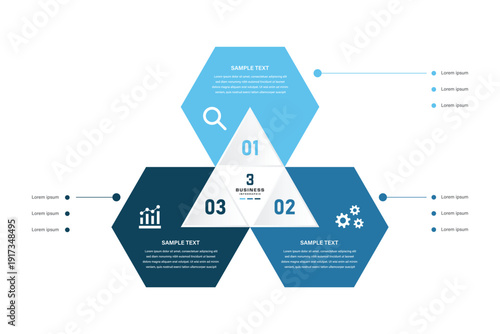 Hexagonal and triangular business infographic with 3 options and icons