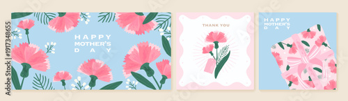 Pink carnation set for Mothers Day [Converted]