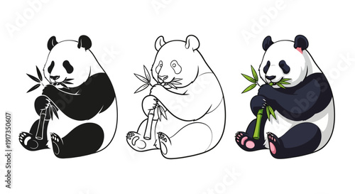 Collection of three adorable giant panda illustrations depicting a cute bear happily eating fresh green bamboo shoots in various artistic styles