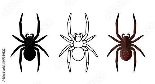 Collection of stylized black silhouette outline and colorful icon illustrations representing a dangerous arachnid creature often feared globally.