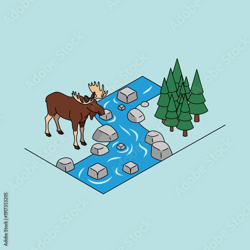 Moose Drinking Water from a Rocky River.