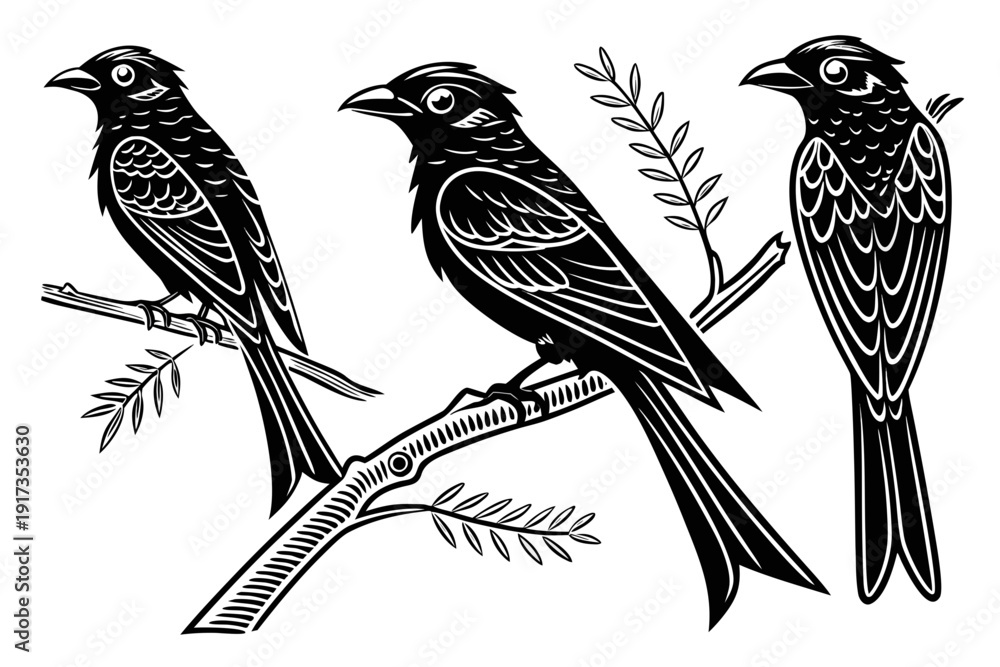 Fototapeta premium A black and white illustration of three birds perched on a branch with leaves