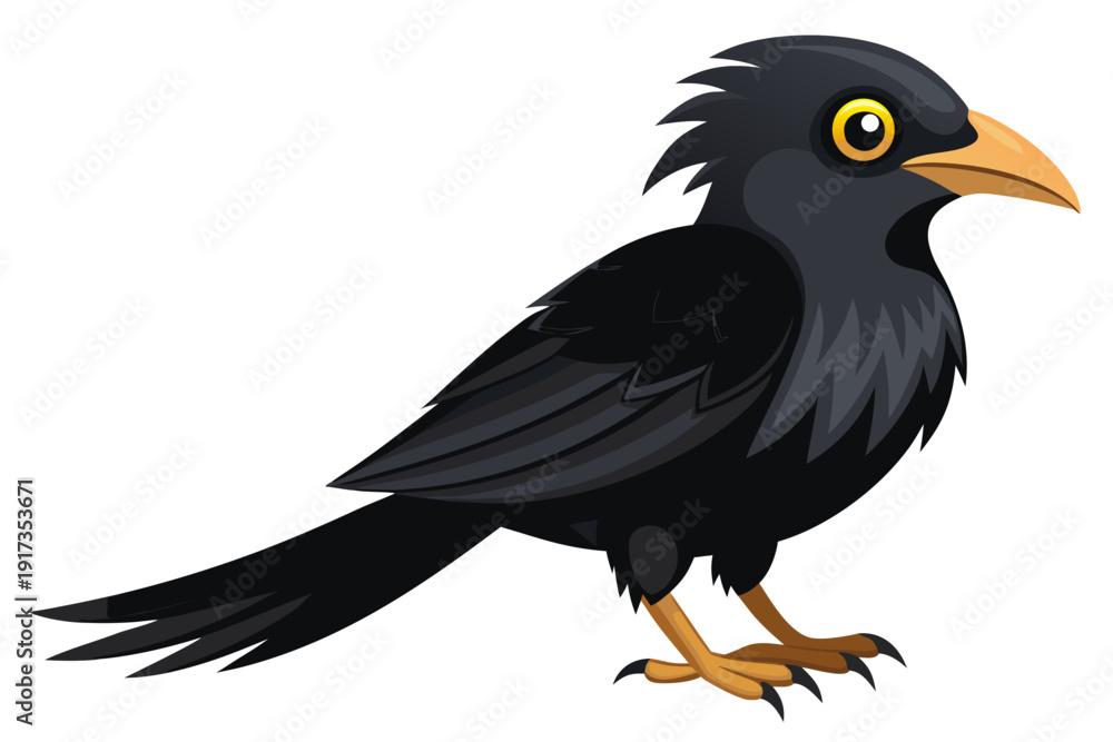 Fototapeta premium A vibrant black bird with yellow eyes and beak stands on a white background in this modern illustration