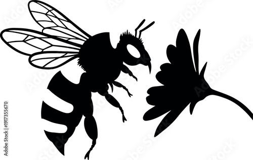 Silhouette Bee Pollinating Flower on White Background