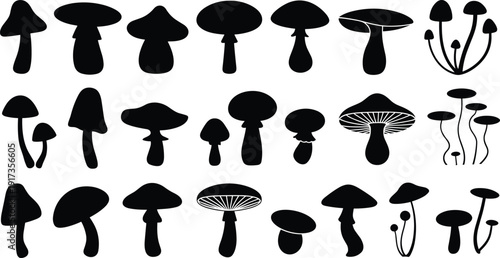 Mushroom Silhouette Collection with Various Wild Forest Fungi Shapes Isolated on White Background Vector Illustration Set