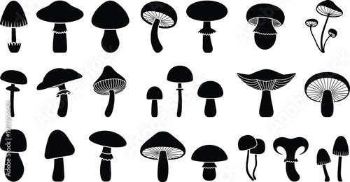 Mushroom Silhouette Vector Set Featuring Diverse Wild Forest Fungi Shapes Isolated on White Background Botanical Illustration Collection