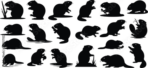 Set of eighteen beaver silhouettes in diverse poses and activities, isolated black vector animal shapes for wildlife, nature, and design projects