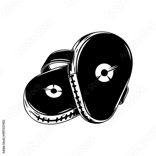 Boxing Focus Mitts for Training and Combat Sports.