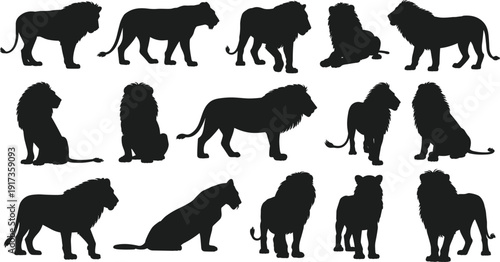 African Lion Silhouette Set with Multiple Poses Including Walking, Sitting and Roaring Big Cat Wildlife Vector Collection