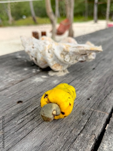 Foto A closeup photo of a still life impromptu  installation on a wooden table on the beach