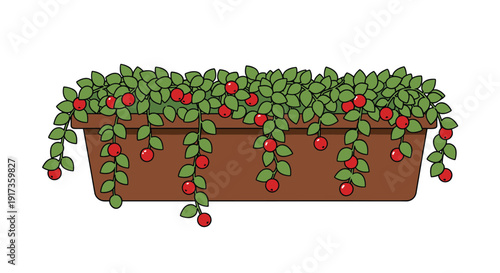 Long brown rectangular plant pot filled with green leaves and hanging red berries for home garden decoration concepts.