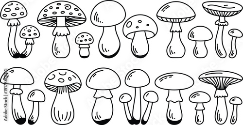 Cute Cartoon Mushroom Collection with Various Forest Fungi Isolated on White Background Hand Drawn Vector Illustration Set