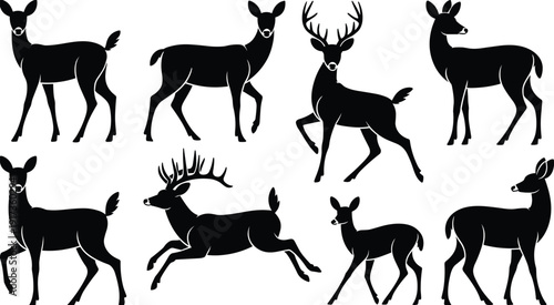 Deer Silhouette Collection with Buck and Doe in Various Poses Isolated on White Background Wildlife Vector Illustration Set
