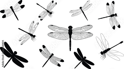 Dragonfly Silhouette Collection with Detailed Wing Patterns Isolated on White Background Insect Vector Illustration Set