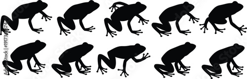 Frog Silhouette Vector Collection with Multiple Poses of Tree Frog Amphibian Wildlife Animal Illustration Set