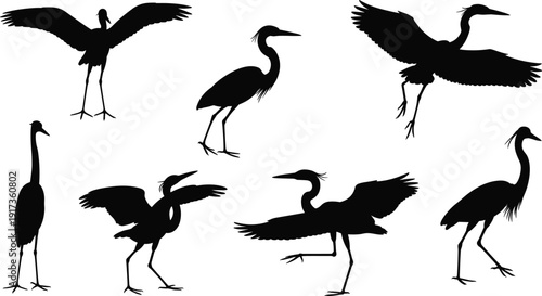 Heron and Crane Silhouette Collection with Flying and Standing Wading Birds Isolated on White Background Vector Illustration Set