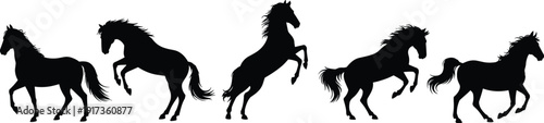 Horse Silhouette Collection with Running, Rearing and Walking Stallion Poses Black Vector Illustration Set Isolated on White Background