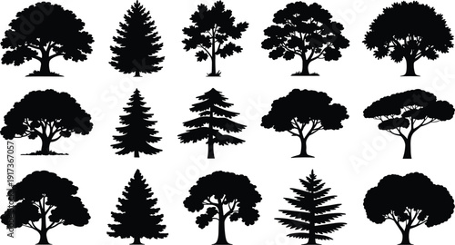 Black tree silhouettes vector set, forest nature elements collection with deciduous and pine trees, isolated botanical icons