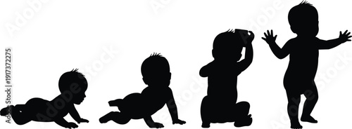 Baby Development Stages Silhouette Collection on White Background silhouettes baby's