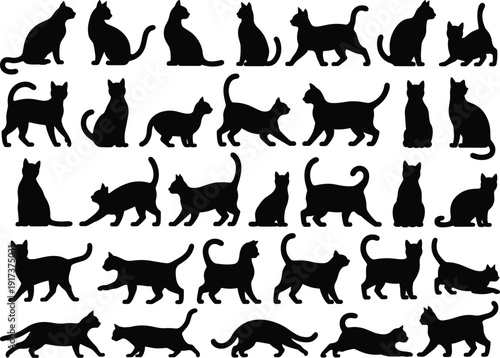 Collection of cat silhouettes in various poses and actions feline animal