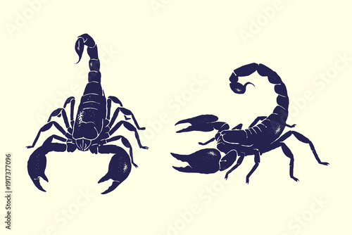 Vintage scorpion vector illustration set, two detailed hand-drawn scorpions in silhouette textured vintage ink details style design, isolated on white background
