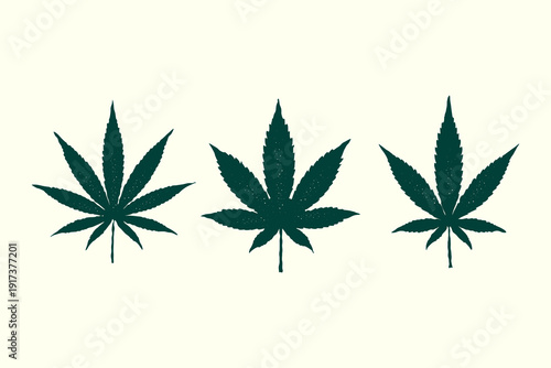 Vintage cannabis leaf vector illustration set, hand-drawn marijuana leaf in silhouette textured vintage ink details style, herbal products branding logo design isolated on white background