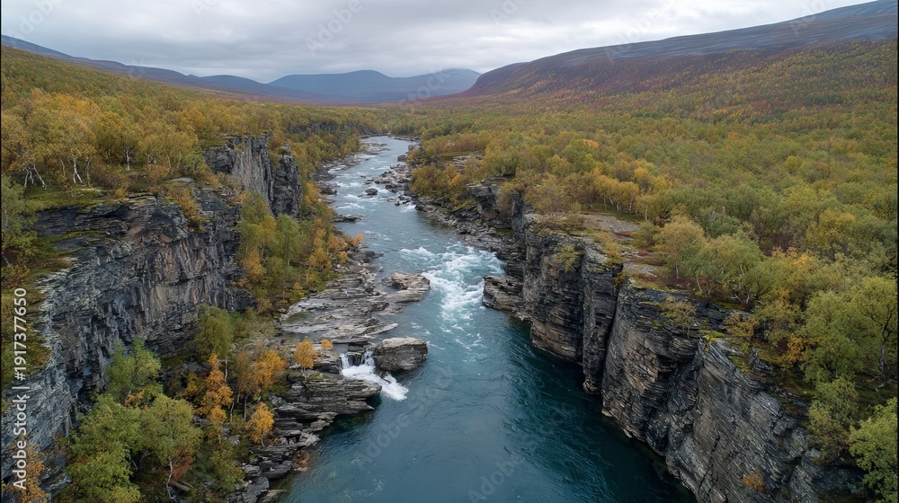 Obraz premium River canyon landscape, moody aerial view over wilderness scenery in Abisko National Park, Sweden, outdoor travel nature background