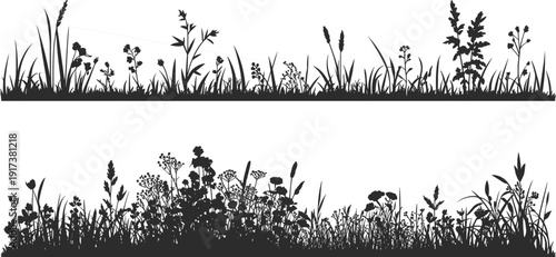 Two horizontal silhouettes of wild grass and wildflowers against a white background Keywords: grass, wildflower, silhouette